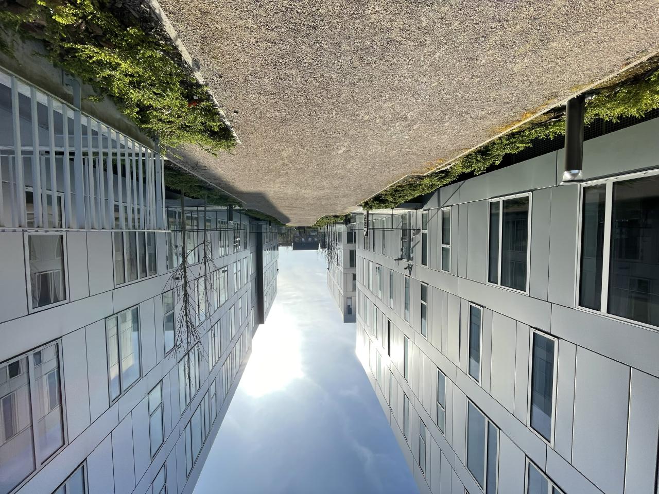 Bureau Loos 865m² Location bureau Loos Nord OLBUR2311844 1